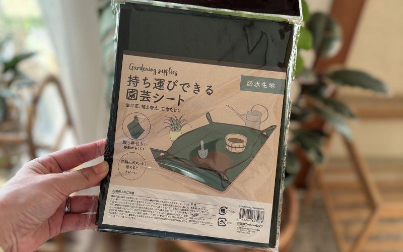 出典:らーちゃん